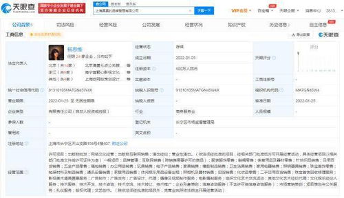 楊天真創(chuàng)辦真真品牌管理公司 以專(zhuān)業(yè)攝像與制作服務(wù)賦能品牌升級(jí)